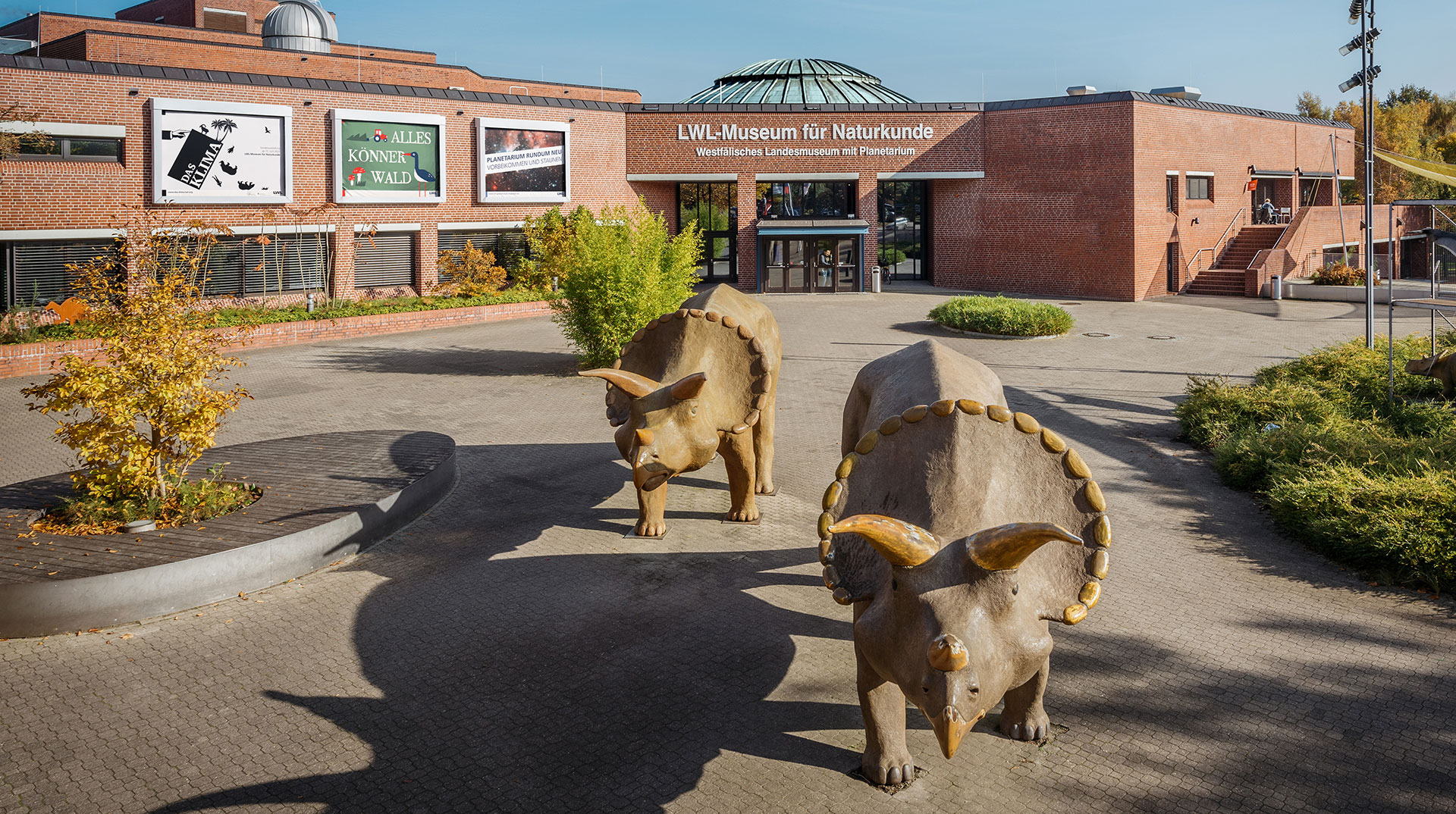 Verwunderlich Lwl Museum Fr Naturkunde Fotos